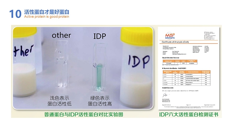 筑夢(mèng)十年 砥礪前行 愛提力免疫大作戰(zhàn)感恩活動(dòng)圓滿舉行