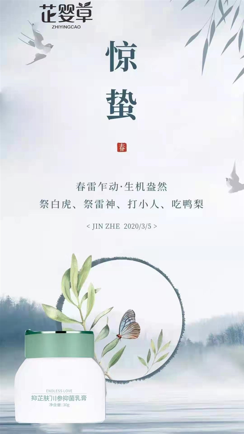 芷嬰草|春雷乍動 生機盎然