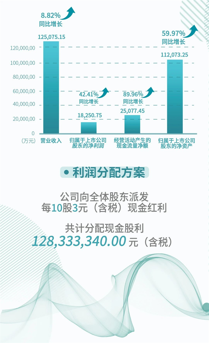 一圖看懂 | 百亞股份2020年業(yè)績報告