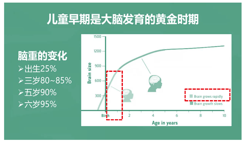 中國腦健康日—關注兒童大腦健康與智力發(fā)育