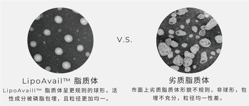 攝入量≠吸收量，如何讓營養(yǎng)素生物利用度實現(xiàn)10倍、100倍提升